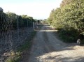 Le grillage du parc à sangliers Le grillage du parc à sangliers