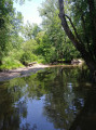 Boucle des Bruyères par le Gué du Moulin Lauray, la Ferté-Saint-Cyr