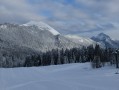 Le Habert du Col