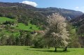 Le hameau d'Essart-Garin Le hameau d'Essart-Garin