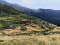 Les orris de Goutets Les orris de Goutets