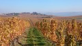 Le haut de la côte brune Le haut de la côte brune