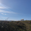 Le haut de la montagne avec un banc