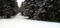 Boucle hivernale autour du Lac de la Maix