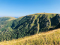 Boucle Sentier des Roches, Hohneck et tour du Kastelberg