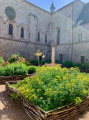 Le jardin de curé ... Le jardin de curé ...