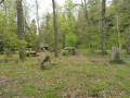 Le jardin de Merlin Le jardin de Merlin