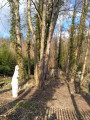 Le jardin des sculptures