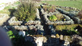 Le jardin des simples