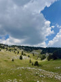 Le Jardin du Roy et sa piste