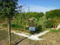 Le jardin en folie