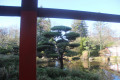 le Jardin Japonais