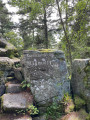 La Roche du Tétras depuis Kayserberg
