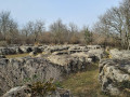 Le labyrinthe