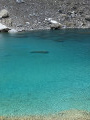La Pointe d'Escreins par le Vallon des Houerts