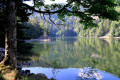 Le Lac d'Altenweiher