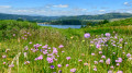 Le Lac d'Issarlès après le Col de Gage