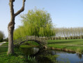 Le Lac de Frace