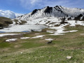 Le lac de Roy