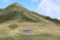 Pointe de Rognier avec retour par la crête des Mollards