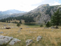 le lac des grenouilles