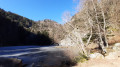Le lac du Fischboedle