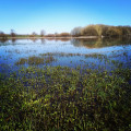 Le Lac du Perché