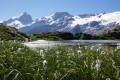 Les Lacs du Plateau d'Emparis Les Lacs du Plateau d'Emparis