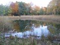 Le Lac Noir Le Lac Noir