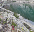 Le lac Supérieur