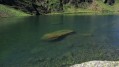 Le Lac Vert