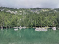 Le lac vert