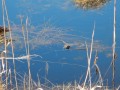Le lac