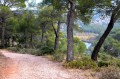 Le lac Zola Le lac Zola