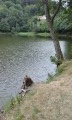 Le Lachtelweiher Le Lachtelweiher