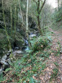 Le Landarbaso