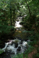 Le Laudot
