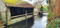 Le lavoir de Dannemois