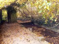 La Fontaine Janvier