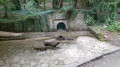 Le Lavoir de Sciecq Le Lavoir de Sciecq