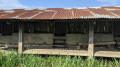 Le lavoir du Bignon.