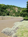 le Leff à marée basse