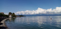Le Léman