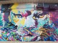 Le lion