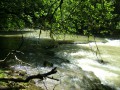Le Lison