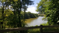 Le long de l'étang