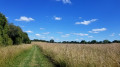 Le long de l'étang