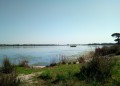 Le long de l'étang