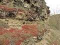 le long de la falaise