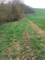 Le long de la haie
